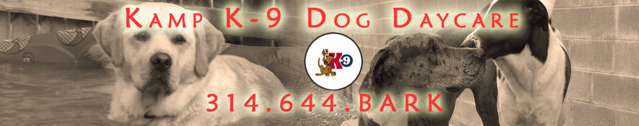 Kamp K-9 Dog Daycare